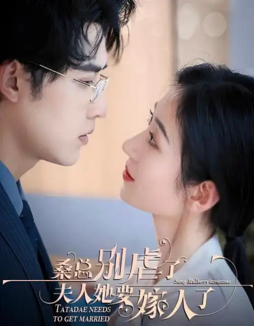 无声证词 刑侦剧在线观看